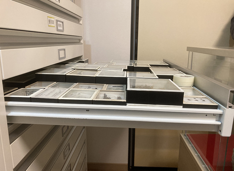 鉱石の収集と研究の目的